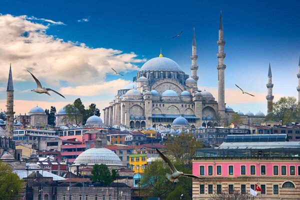 Beautiful Istanbul skyline with birds flying over mosques and temples under cloudy skies